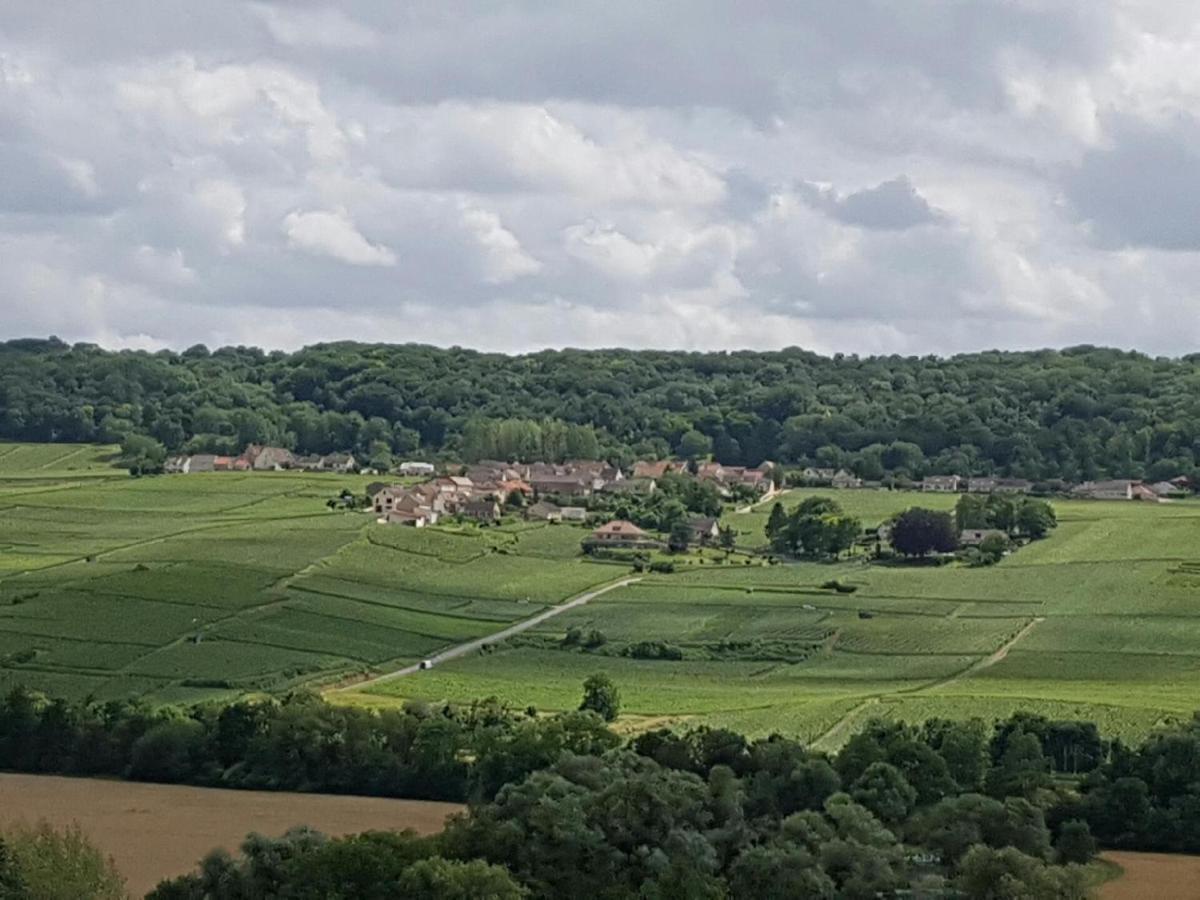 Le Domaine De L Etang Le Merger Oeuilly Exterior foto